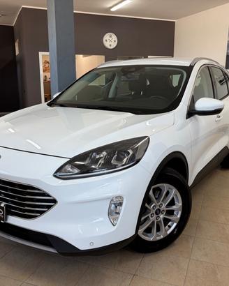 Ford Kuga 1.5 EcoBlue 120 CV 2WD Titanium