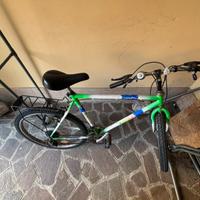 Bicicletta mountain bike