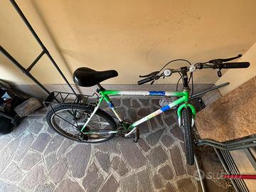 Bicicletta mountain bike