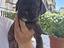 Immagine 1