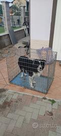 gabbia per cane pieghevole 