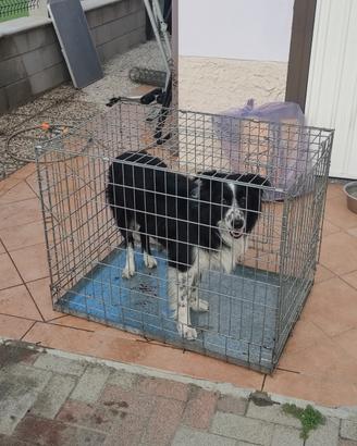 gabbia per cane pieghevole 