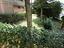 Immagine 7