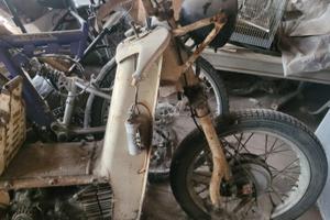 Galletto 175