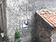 Immagine 17