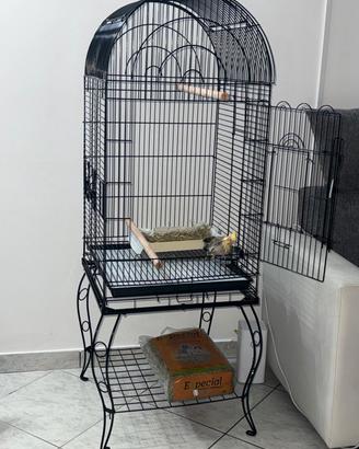 Gabbia per Uccelli