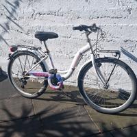 Bicicletta Bottecchia gomme 24