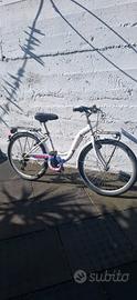 Bicicletta Bottecchia gomme 24