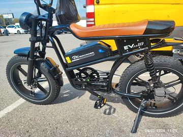 bici elettrica 
