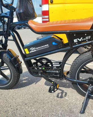 bici elettrica 