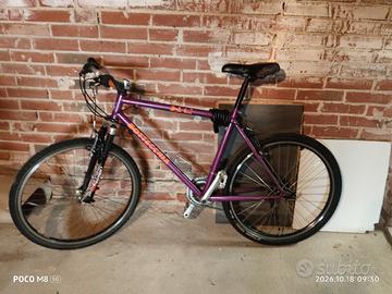 bicicletta taglia grande 