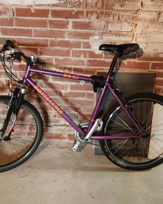bicicletta taglia grande 