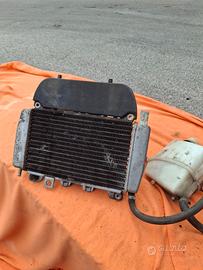 Radiatore Piaggio x9 250
