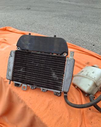 Radiatore Piaggio x9 250