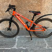 Bici 24” cambio shimano