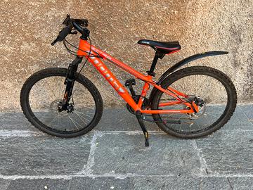 Bici 24” cambio shimano