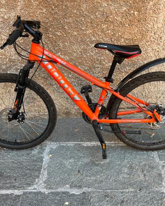 Bici 24” cambio shimano