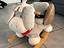 Immagine 1