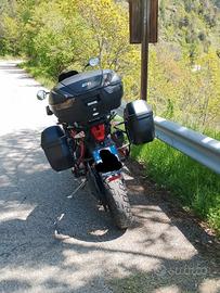 Triumph Tiger XC 800 Limited Edition 