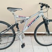 Bicicletta mountain bike