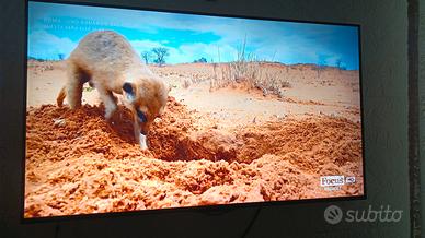 tv lg ultra hd 49 pollici