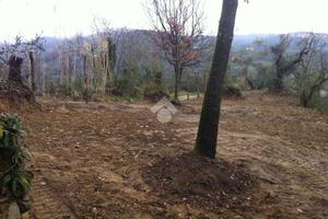 RUSTICO A SAN VITO ROMANO