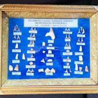 Quadro Denti e Vertebre Fossili di pesci e rettili