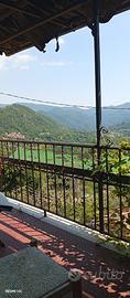 Terratetto con ampio giardino