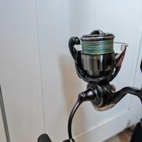 combo daiwa favorite