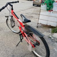 Bicicletta da 20 bambino