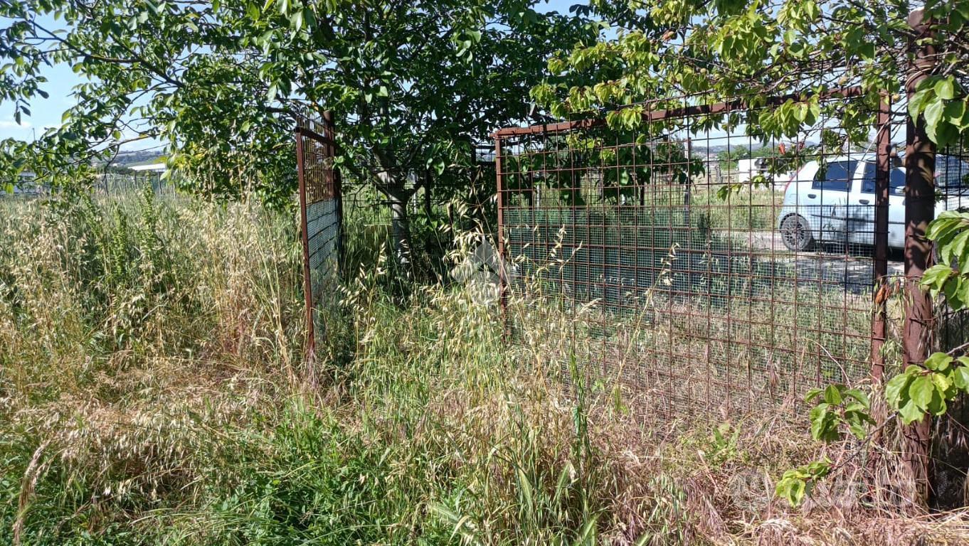 TER. AGRICOLO A LONGIANO - Vista 5