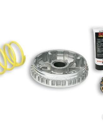 Variatore malossi multivar yamaha x max 250