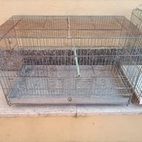 gabbie da 55/60 cm in zincato 