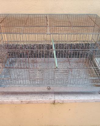 gabbie da 55/60 cm in zincato 