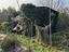Immagine 3