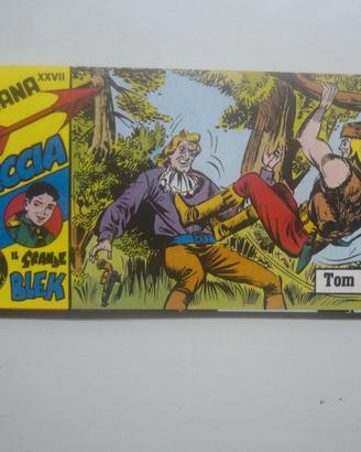 Fumetti a striscia Il Grande Blek