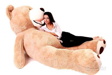 orso peluche 