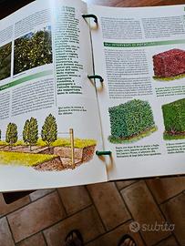 verdissimo de agostini 