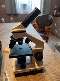 microscopio 