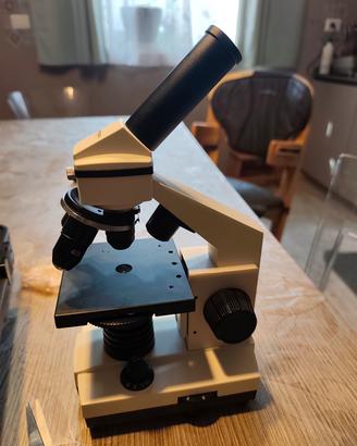 microscopio 