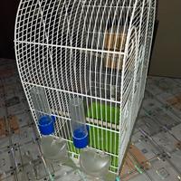 Gabbia per cocorite 