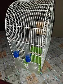 Gabbia per cocorite 