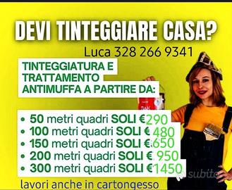 Cartongessista imbianchino