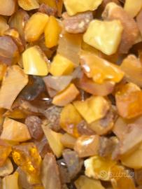 Ambra del Baltico(Polonia)