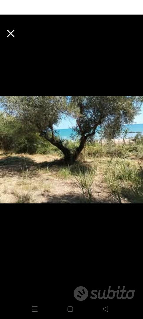 Terreno AGRICOLO fronte vista mare - Altro