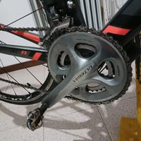 Colnago da corsa Professionale Cambio elettronico
