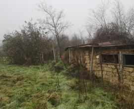 Terreno 2800 mq con casa da ristrutturare- Romania