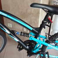 Bicicletta