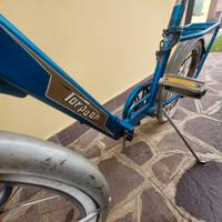 Bicicletta pieghevole