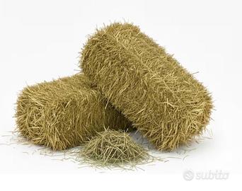 fieno per animali 